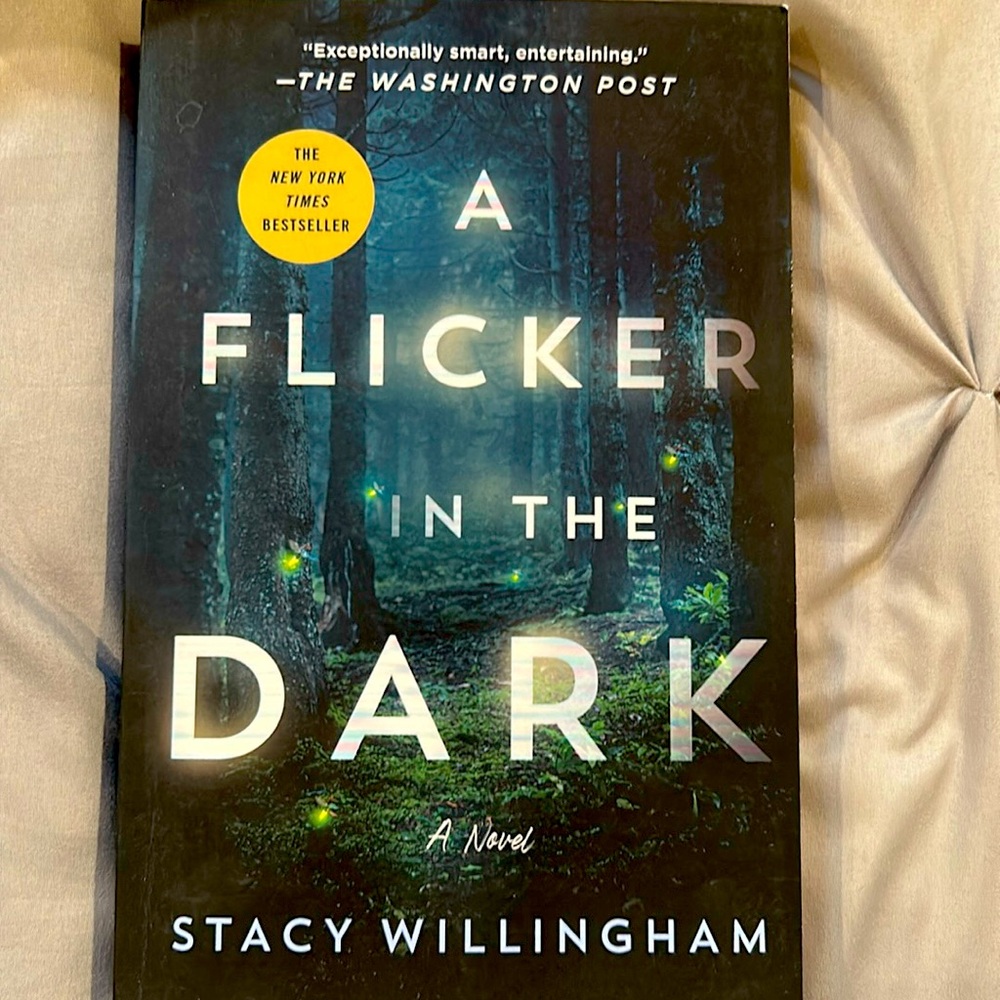 “A Flicker in the Dark” by Stacy Willingham